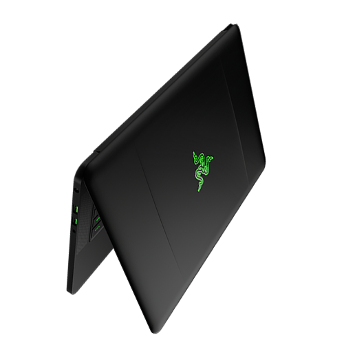 lapbird